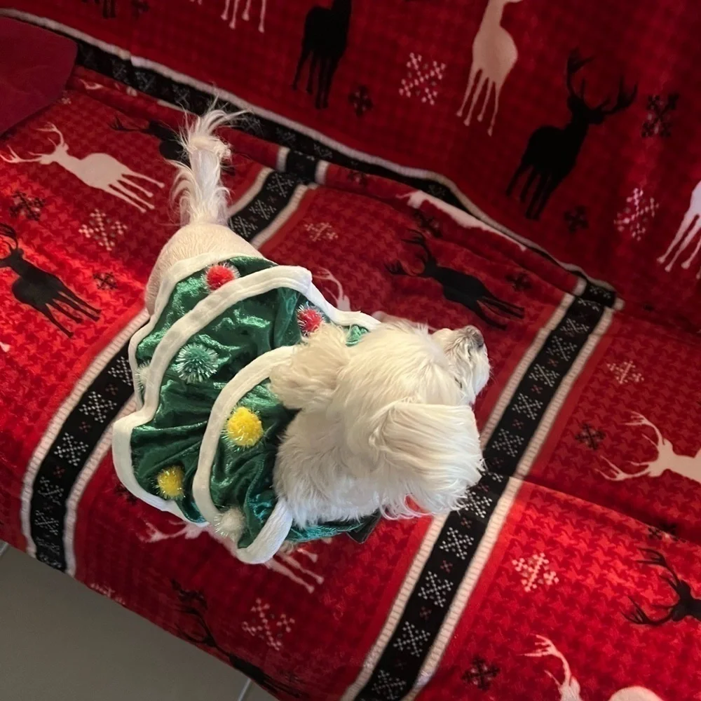 Christmas Tree Puppy Fress SMALL